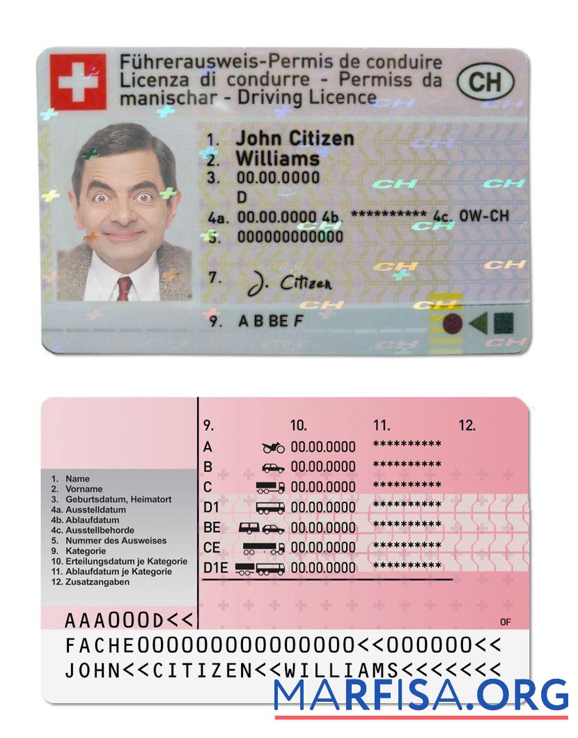 Realistic Switzerland driving license template